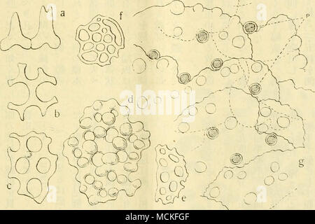 A A A A Aªaaa A Ae Ae Ae A Aea C A A ee E A A A C A A A Ae ªbc Stock Photo Alamy