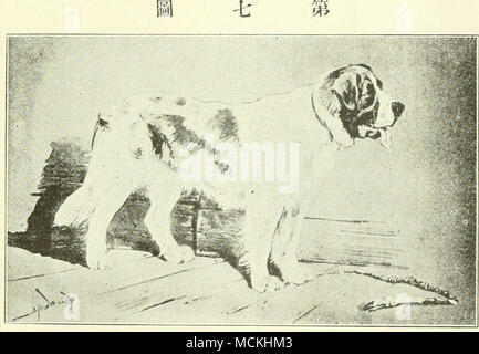 Ac C A Eeªc A a C A ca C e Ae C A11a A Ae C A Ci Stock Photo Alamy