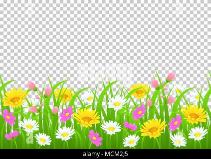 Flowers and grass border, yellow and white chamomile and delicate pink meadow flowers and green grass on transparent background, vector illustration,  Stock Vector
