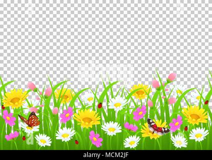 Flowers and grass border, yellow and white chamomile and delicate pink meadow flowers and green grass, butterflies and ladybug on transparent backgrou Stock Vector
