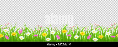 Flowers and grass border, yellow and white chamomile and delicate pink meadow flowers and green grass on transparent background, vector illustration,  Stock Vector