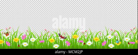 Flowers and grass border, yellow and white chamomile and delicate pink meadow flowers and green grass, butterflies and ladybug on transparent backgrou Stock Vector