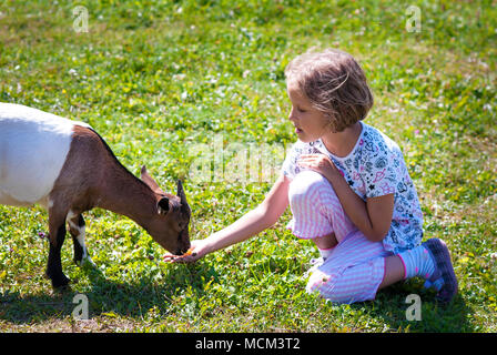 Little girl (6 years old) feeding goat on farm. Stock Photo