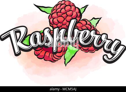 Raspberry colorful label sign. Vector drawing for advertising. Fresh design of colorful fruits made in watercolor style. Modern illustration on white  Stock Vector