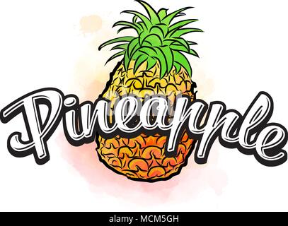 Pineapple colorful label sign. Vector drawing for advertising. Fresh design of colorful fruits made in watercolor style. Modern illustration on white  Stock Vector