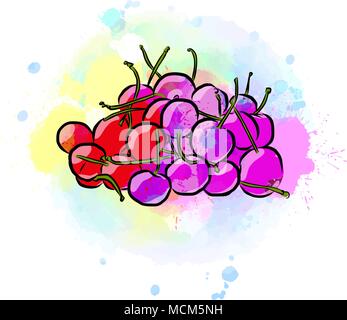 Colored drawing of cherries. Fresh design of colorful fruits made in watercolor style. Modern vector marketing illustration on white background. Stock Vector