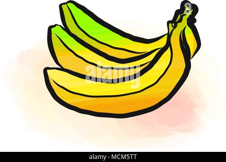 Colored drawing of bananas. Fresh design of colorful fruits made in watercolor style. Modern marketing illustration on white background. Stock Vector