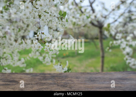 Empty wooden deck table in spring time Stock Photo