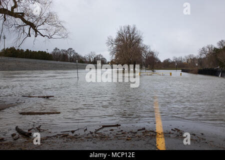 Harris Park, London. 17th Apr, 2018. UK Weather: The Thames River continues to breech its banks in Harris Park as the elevated water levels make they way down river in London, Ont. on April 17, 2018. Credit: Mark Spowart/Alamy Live News Stock Photo