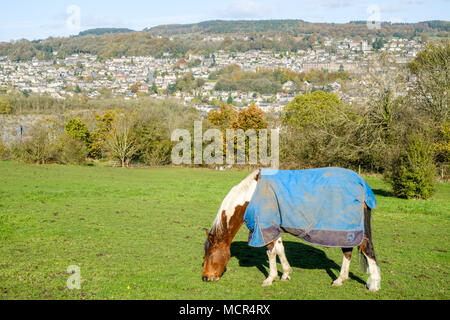 Horse wearing a coat, eating grass in a field above Matlock, Derbyshire, England, UK Stock Photo