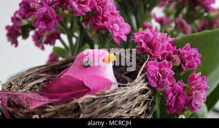 Pink bird in a nest on a flowering tree Stock Photo