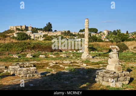 Turkey, Izmir province, Selcuk city, archaeological site of Ephesus, temple of Artemis Stock Photo