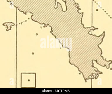 . u a G J Fig. 27. Distribution of Chaetoceros schimperianus round South Georgia in the December-January 1926-7 survey. The square with an asterisk represents a value of 410,000. For full explanation see legend of Fig. 16. Ch. tortissimus, Gran, was recorded in small numbers at only one station to the east of the island: WS 112. Biddulphia. Two species were recorded. B. striata, Karsten, was found round South Georgia in the December-January survey in 1926-7 and was distributed both in water of Weddell Sea and Bellingshausen Sea. Its distribution and numbers are shown in Appendix I and Fig. 29. Stock Photo