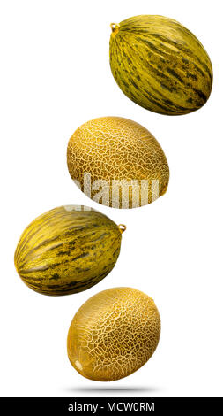 Falling golden melon isolated on white background Stock Photo