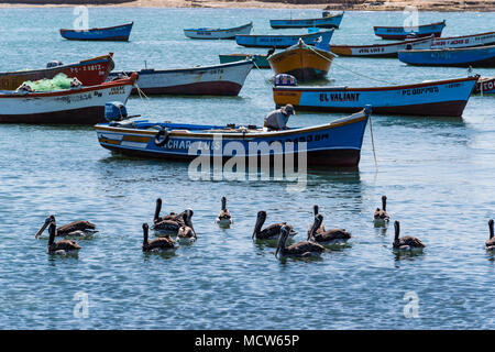 National Reserve of Paracas,Lagunillas port, Ica, Peru, South America. Stock Photo