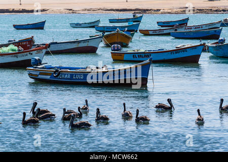 National Reserve of Paracas,Lagunillas port, Ica, Peru, South America. Stock Photo