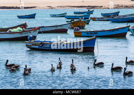 National Reserve of Paracas,Lagunillas port, Ica, Peru, South America. Stock Photo