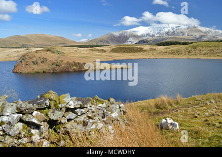 Llyn Y Dywarchen Reservoir near Rhyd Ddu Snowdonia Stock Photo