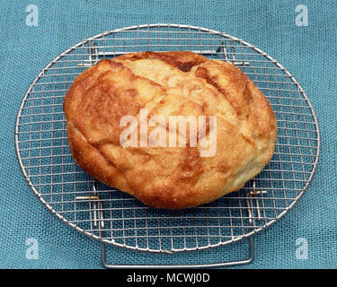 A loaf of French Boule bread cools on a wire rack with blue burlap background. Stock Photo