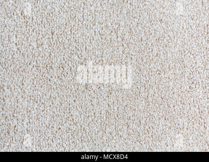 Carpet texture background in a neutral color closeup Stock Photo