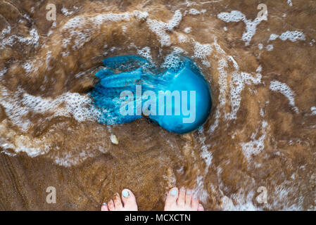 Dead jelly fish on the shore washed by waves Stock Photo