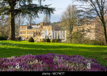 Winter sunshine lights up the facade of Forde Abbey with colourful heather shrubs in front, Dorset, England, UK Stock Photo