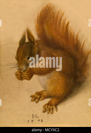 Red Squirrel, Hans Hoffmann, 1578, National Gallery of Art, Washington DC, USA, North America Stock Photo