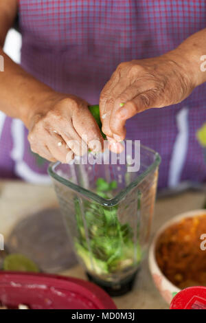 Chef Raquel Patricia Garzon making salsa for molotes (corn-based fritters stuffed with potato and meat) in her kitchen   Oaxaca City, Oaxaca, Mexico Stock Photo