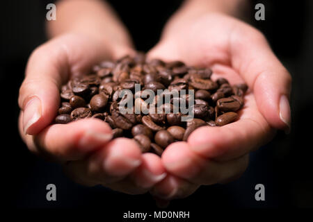 Hands holding fresh roasted coffee beans closeup view from front with black background Stock Photo