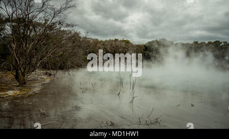 Dead geothermal landscape vista with leafless vegetation and steaming lake.Shot in Kuirau Park, Rotorua, North Island, New Zealand Stock Photo