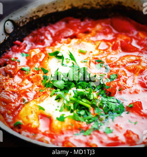 Shakshuka. Traditional jewish food and middle eastern cuisine recipe. Fried eggs, tomatoes, bell pepper and parsley in a pan. Close up, selective focu