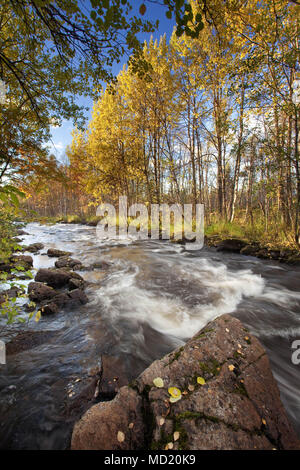 River and autumn colours in Muonio, Lapland, Finland Stock Photo