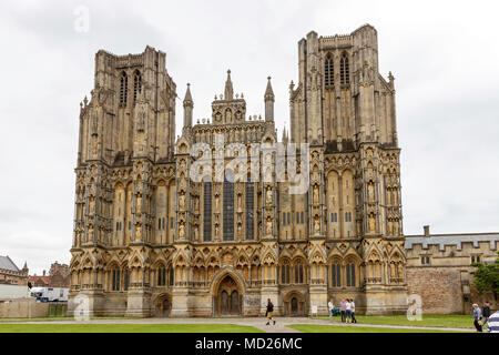 Wells Cathedral is a Church of England place of worship in Wells, Somerset, dedicated to St Andrew the Apostle, and is the seat of the Bishop of Bath  Stock Photo