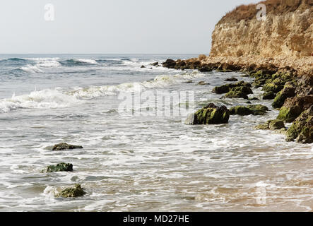 A picturesque landscape with waves, stones with green seaweed and a high steep shore on the Black Sea coast. Stock Photo
