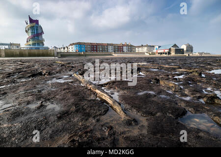 Fallen Trees From an Ancient Woodland Thought to be Over 7,000 year Old, Uncovered by Storm Emma in March 2018, on Redcar Beach, Cleveland UK Stock Photo