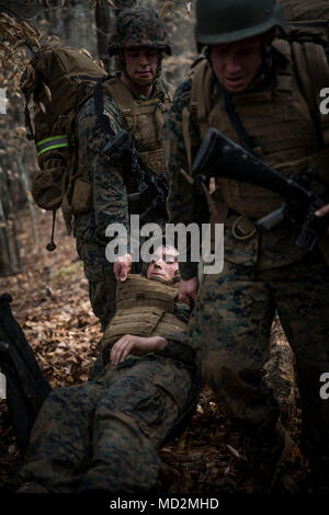 U.S. Marines attending the Martial Arts Instructor Trainer Course participate in the culminating event at The Basic School, Marine Corps Base Quantico, Va., March 28, 2018. The exercise is a five-hour event, which challenges the students to show expertise in ground fighting, weapons free sparring, and bayonet and knife techniques. Stock Photo