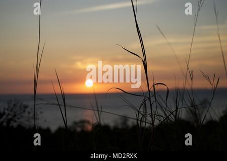 overlooking wild grass and sunset in Raja Ampat, Indonesia Stock Photo