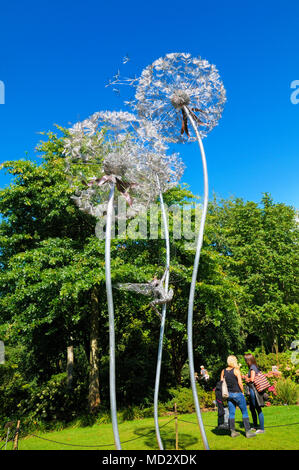 Wire dandelion sculpture by Robin Wight or Fantasy Wire. Trentham ...