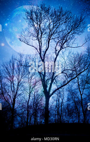 silhouette of a tree at night with giant full moon behind it, magic tree concept Stock Photo