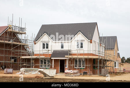 Bloor Homes new Longwood Fields housing development, Woodbridge, Suffolk, England, UK Stock Photo