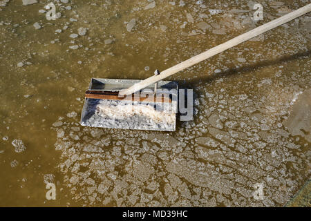 France, Loire-Atlantique, Guérande, Salt marshes of Guerande Stock Photo