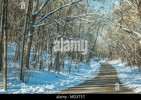 A narrow country road winds through snow covered, leafless trees in a forest. Stock Photo