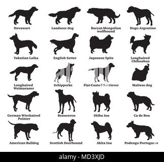 Vector set of different breeds dogs silhouettes isolated in black color on white background. Part 7 Stock Vector