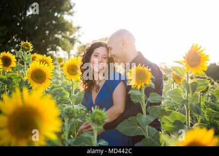 Couple in field of sunflowers, hugging Stock Photo
