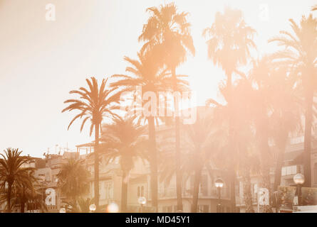 Scenic view with palm trees, Sitges, Catalonia, Spain