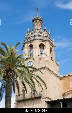 Palm tree and tower of the Iglesia de Santa Maria la Mayor, Ronda, Andalucia, Spain, Europe Stock Photo