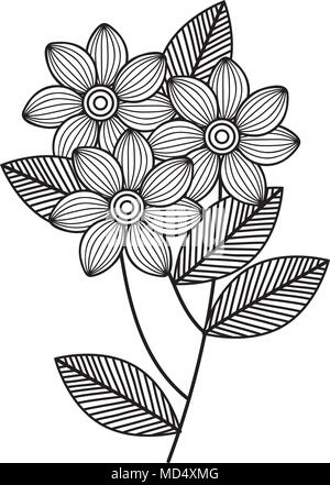 Flower Drawings - Spring 2019 — Katrina Crouch | Blushed Design