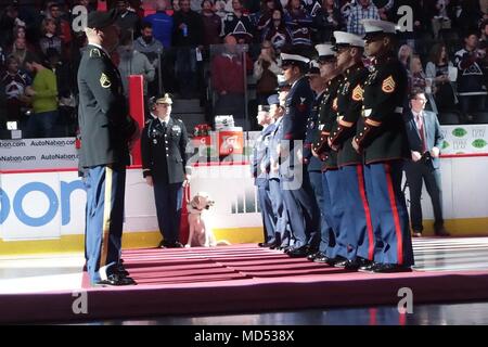 Service members from all military branches participate in a pre-game ceremony at the Colorado Avalanche Military Appreciation Game in the Denver Pepsi Center, March 10, 2018. Kroenke Sports & Entertainment hosted a Military Appreciation Weekend from March 10-11, which included the Denver Nuggets basketball game, Colorado Avalanche hockey game, and the Colorado Mammoth box lacrosse game. Stock Photo