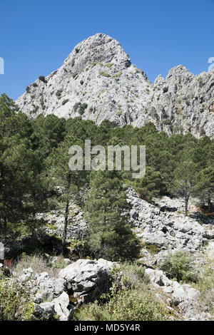 Rugged mountain scenery near Grazalema, Sierra de Grazalema Natural Park, Andalucia, Spain, Europe Stock Photo