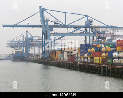 Rotterdam, Netherlands - 20 July 2015: many freight containers are awaiting shipping at Rotterdam Europort, Europe's largest commercial harbour. Stock Photo